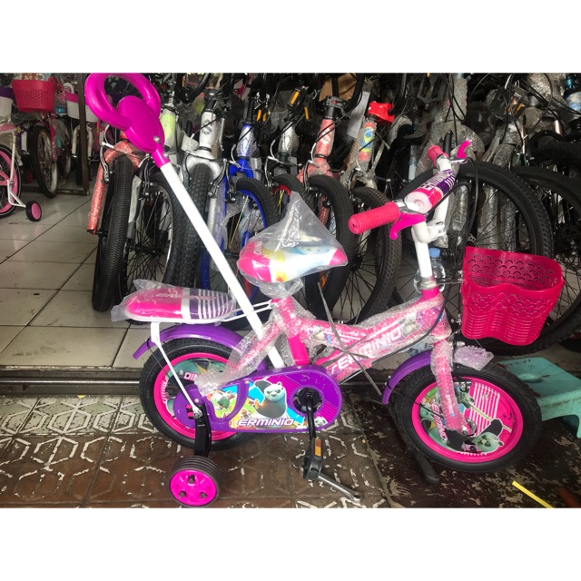 Sepeda Anak Dorongan Stir Erminio 12 Ban Pompa