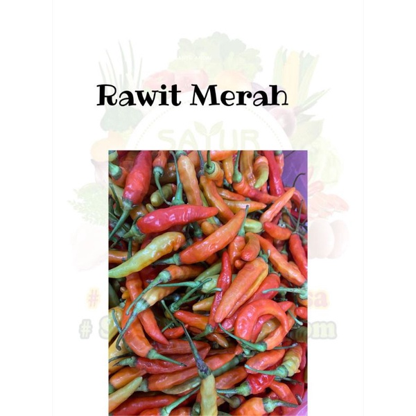 

Cabe Rawit Merah Super 250gr sd 1 Kg