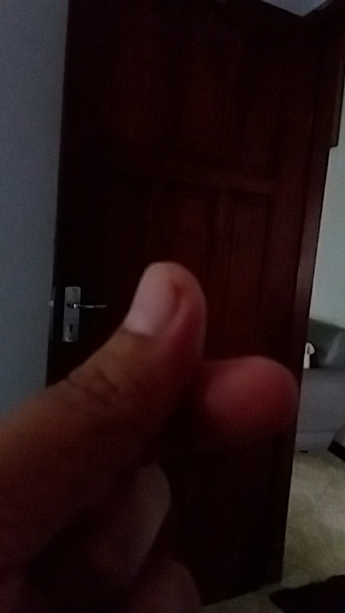 Bibit Markisa Manis