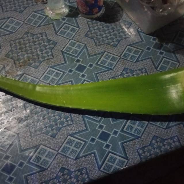 

Pelepah lidah buaya organik