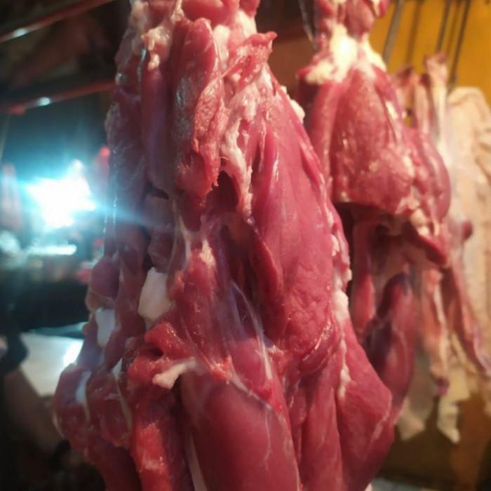 

Meat | Daging Kambing Segar 500Gr Daging Lokal Harga Grosir Murah