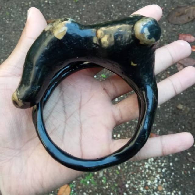 akar bahar hitam jumbo