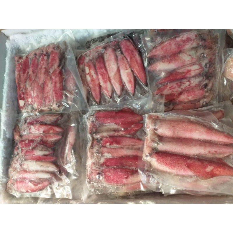 

Cumi teropong cumi utuh fozen 500 gr