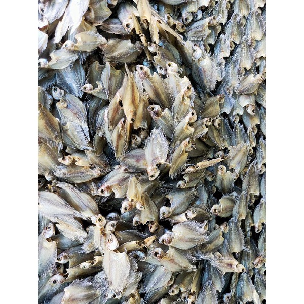 

Ikan asin Sapat Gred A