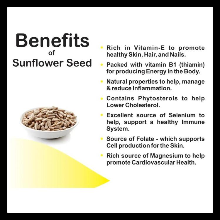 

RAW SUNFLOWER SEED ORGANIC 500 GRAM KUACI MENTAH (BIJI BUNGA MATAHARI) BERKUALITAS