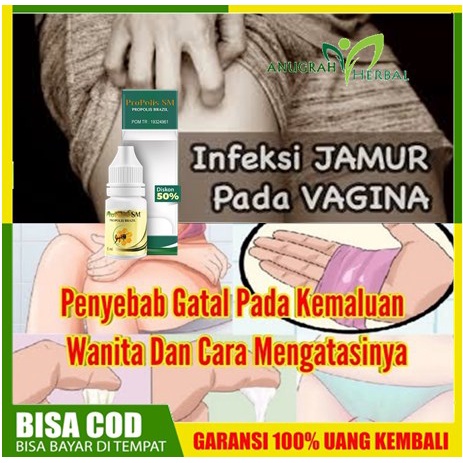 Obat Gatal Kemaluan Wanita / Pembersih Infeksi Jamur Miss V - Obat Lecet Pada Vagina Propolis Brazil