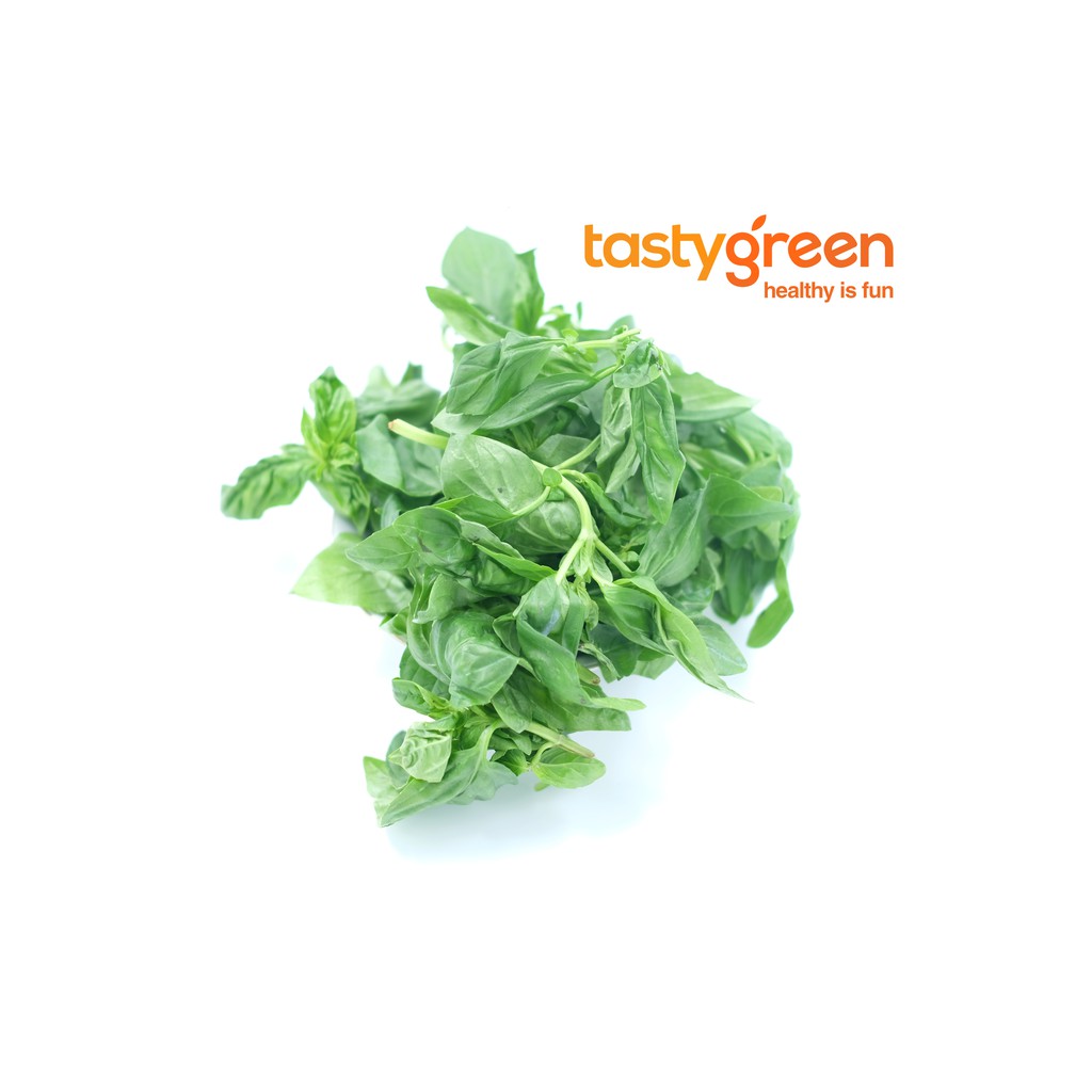 

Tasty Green Daun basil A 100g