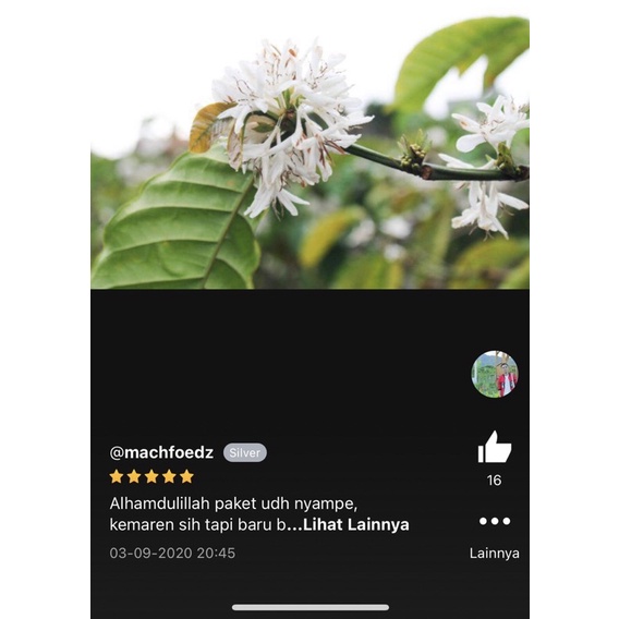 canon eos 1100d  lensa kit 18-55  full efek-5