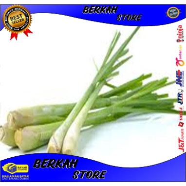 

sereh segar bumbu rempah kemasan 1 kg