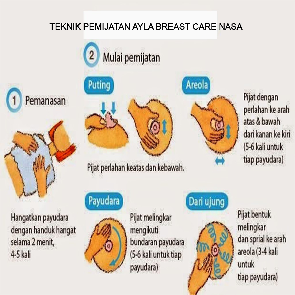 Ayla Breast Care Original Krim Khusus Perawatan Payudara