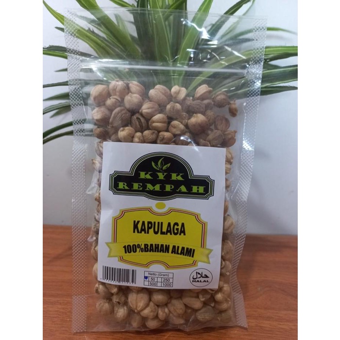 

Kapulaga Asli [ 50 Gram ]