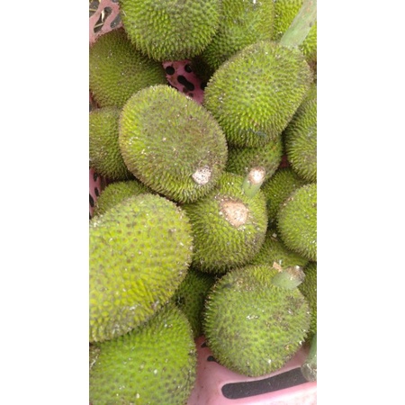 

Sayur Keluwih Kluwih buat Selamatan