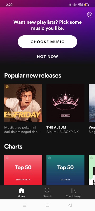 Spotify Apk Tanpa Iklan Permanen