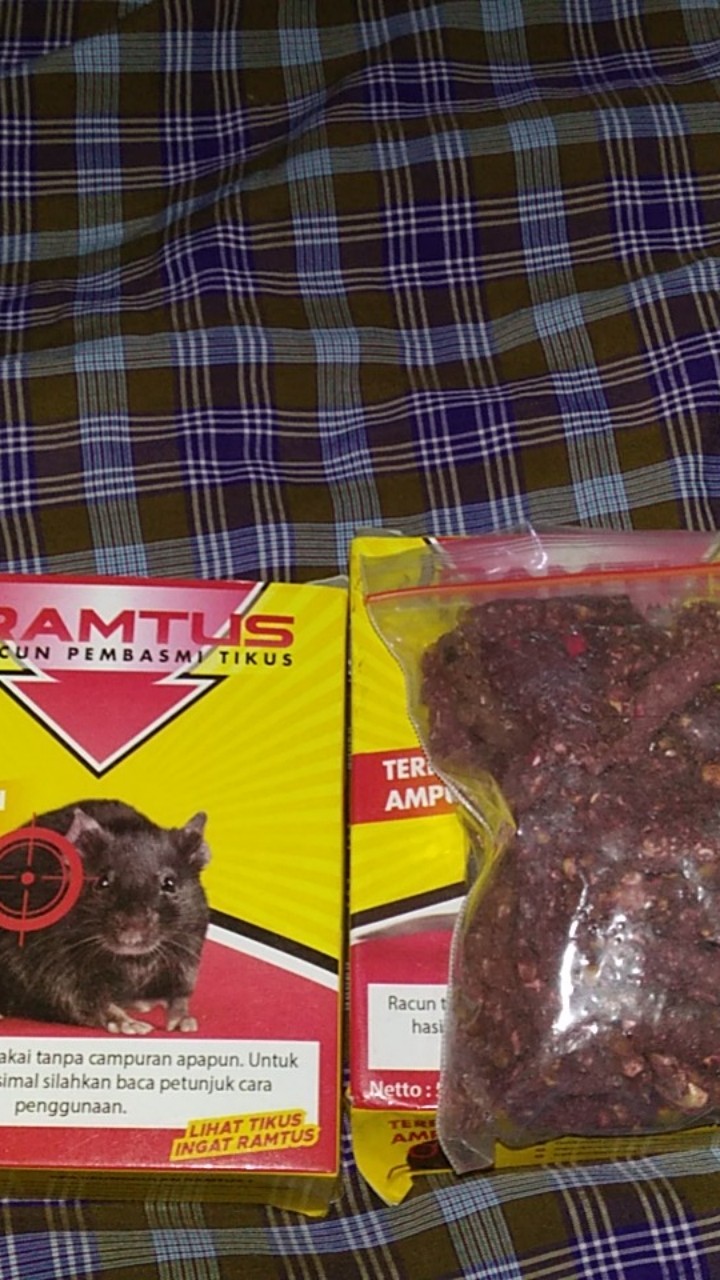 Racun Tikus Ramtus Asli Alami Mati Kering Tidak Bau Pembasmi Pengusir Tikus Super Paling Ampuh 2pack