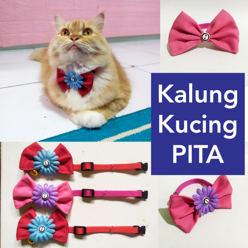 Kalung kucing PITA + LONCENG