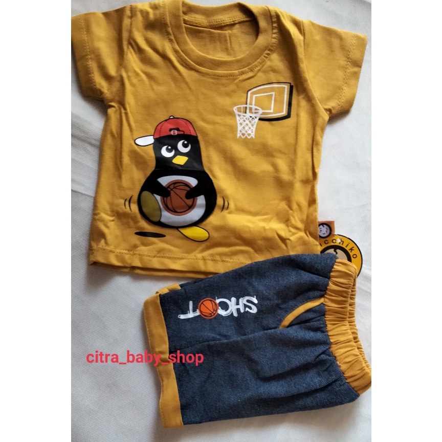 Setelan Kaos Anak Cowok Usia 12 Bulan Impor Motif Pinguin