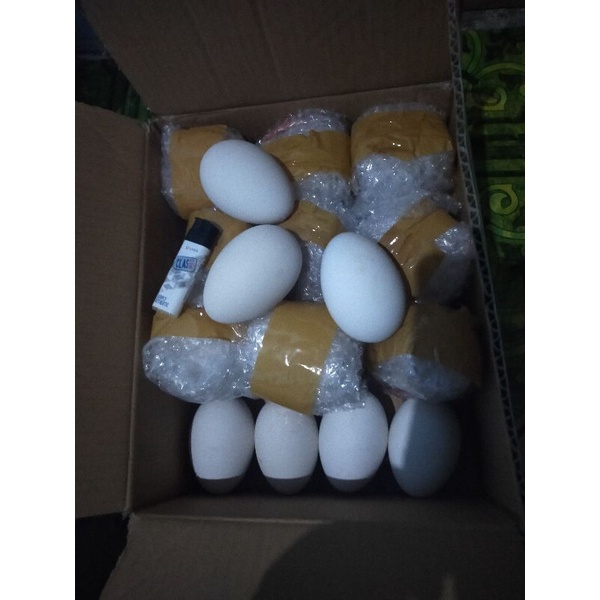 

TELUR ANGSA MENTAH FRESH