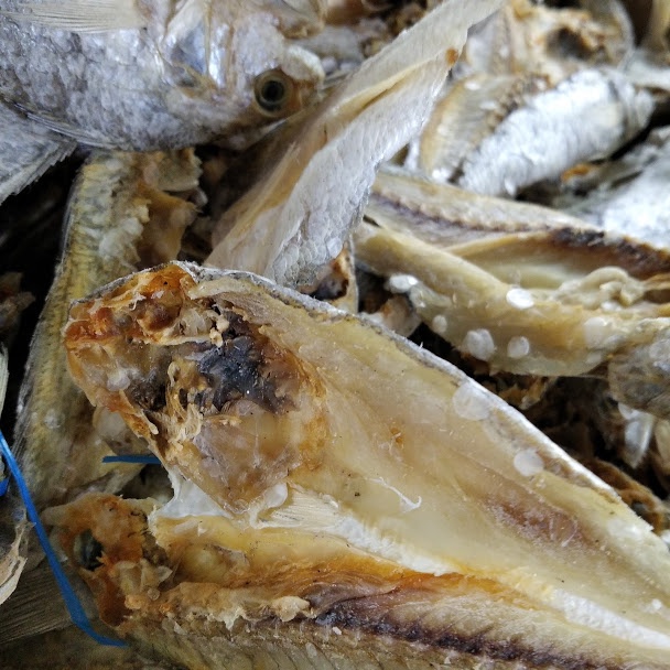 

Ikan Asin Belah Kepala Batu 1/2 kg Bisa COD Wiendalove