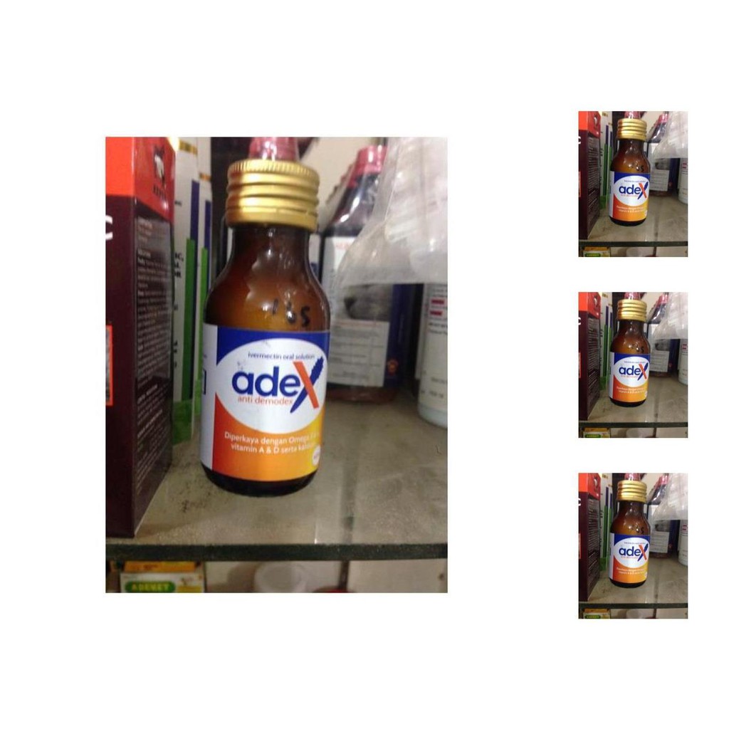 obat minum oral kucing anjing scabies demodex penyakit kulit