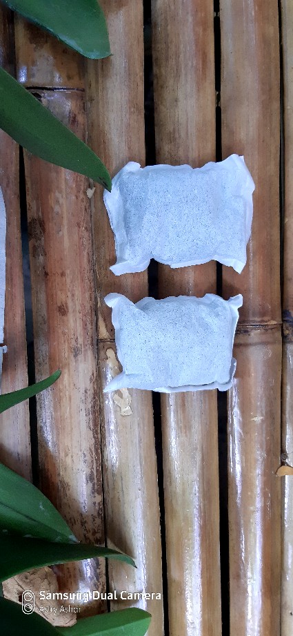 Anggrek Den White Diamon Star