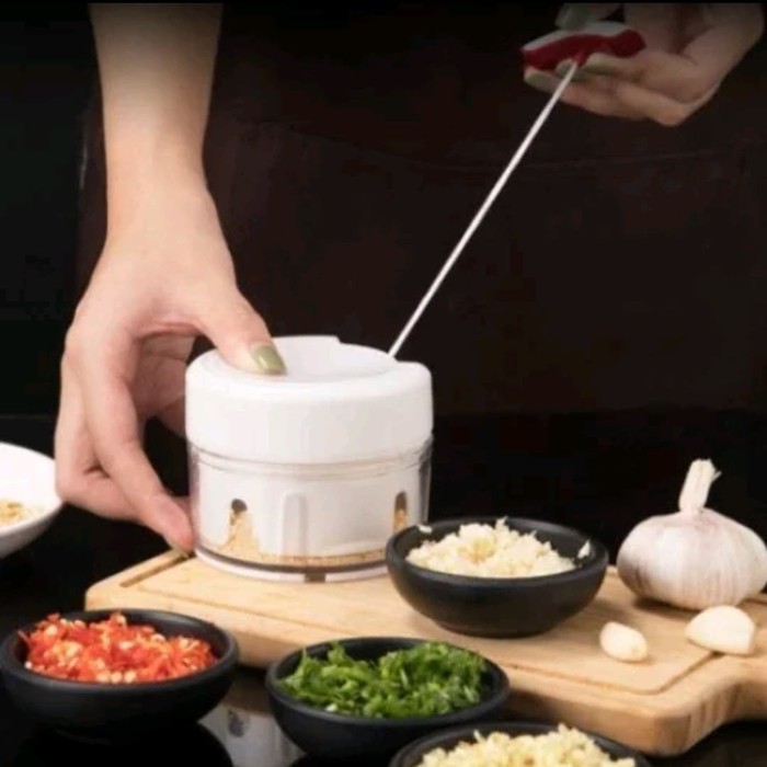 EM Blender Tangan Mini Pemotong Daging Buah Sayuran PRAKTIS-2