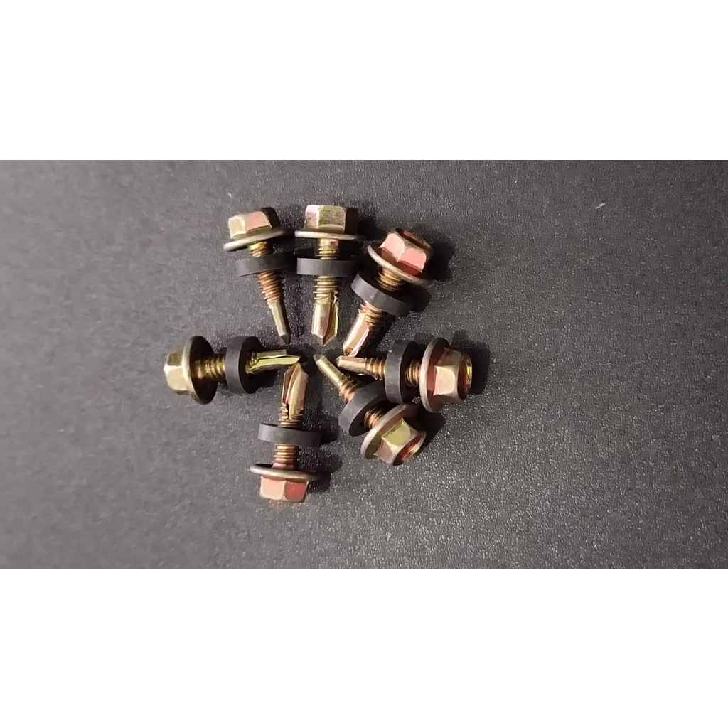 Sekrup baja ringan Roofing 12 x 20