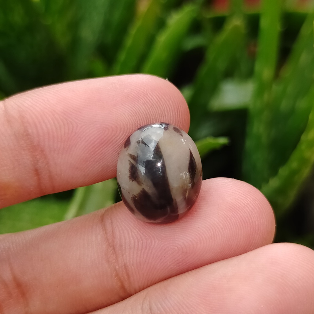 batu akik putih hitam antik bkn yaman api opal koleksi moonstone permata kinyang