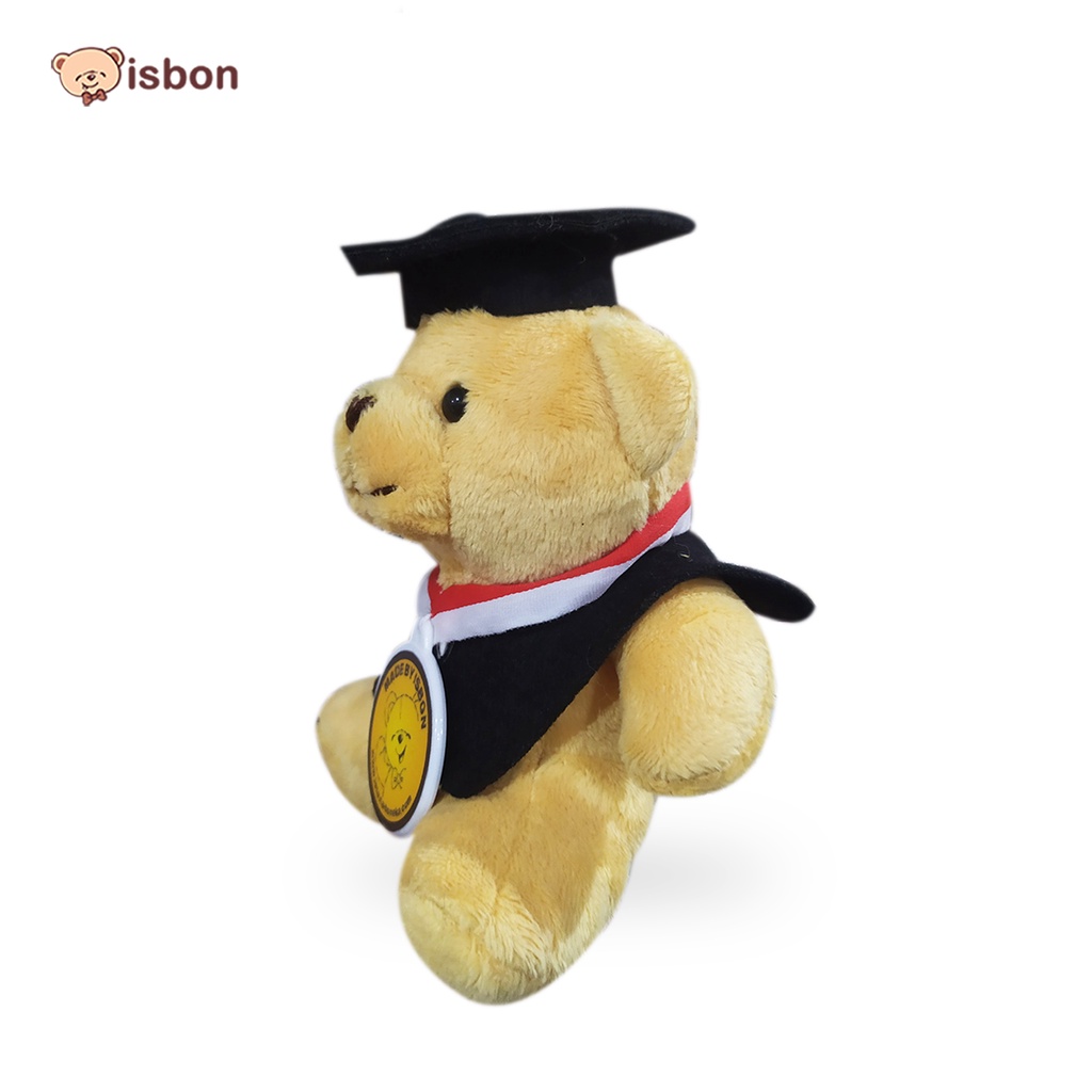 Boneka Teddy Bear GOLD Istana Boneka BEAR Tewe With Toga Lucu