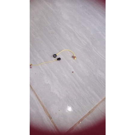 tali paut burung terkukur/perkutut