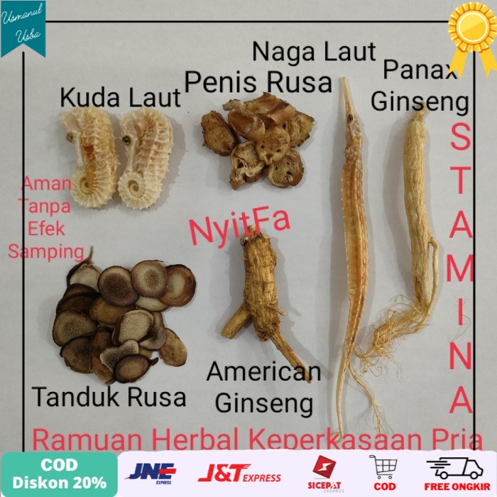 

◾COD◾ Ginseng / Cordycep / Kuda Laut / Naga Laut / Tanduk Rusa /Obat stamina - AmericanGinseng