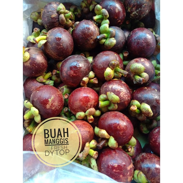 

Buah Manggis Super Fresh Manis Segar - 1 Kg