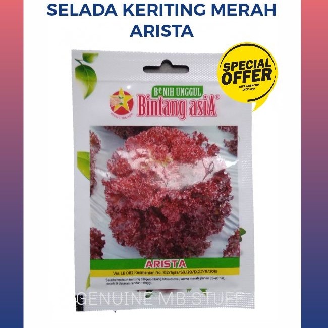 Benih Bibit Selada Keriting Merah Arista Bintang Asia 1 gr Kemasan Ori