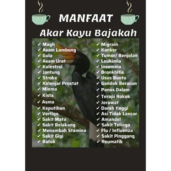

Akar Kayu Bajakah Asli Kalimantan