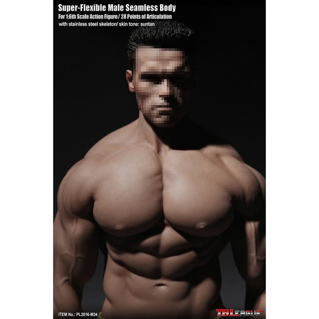 Jual TBLeague 1/6 PL2016-M34 Phicen Super Flexible Body (Sun Tan) Murah
