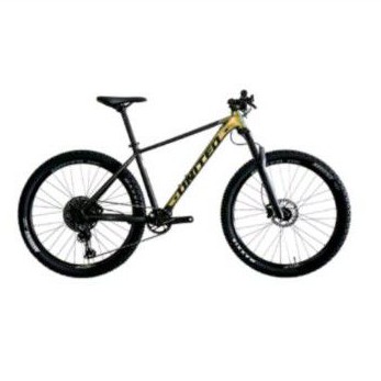MTB 29 inch United clovis 8.10
