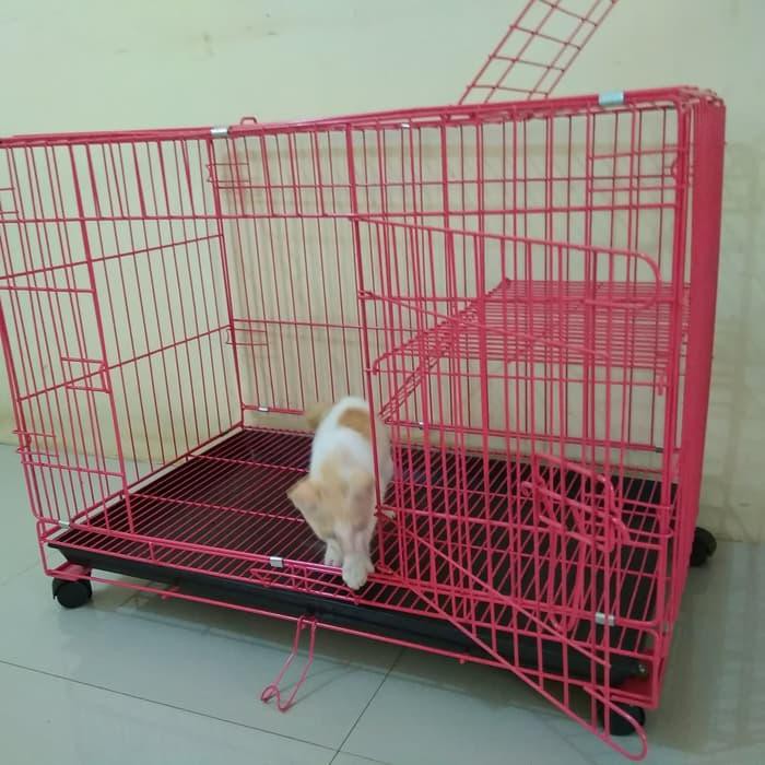 Perlengkapan Kandang] Kandang kucing Besar Tingkat ukuran 