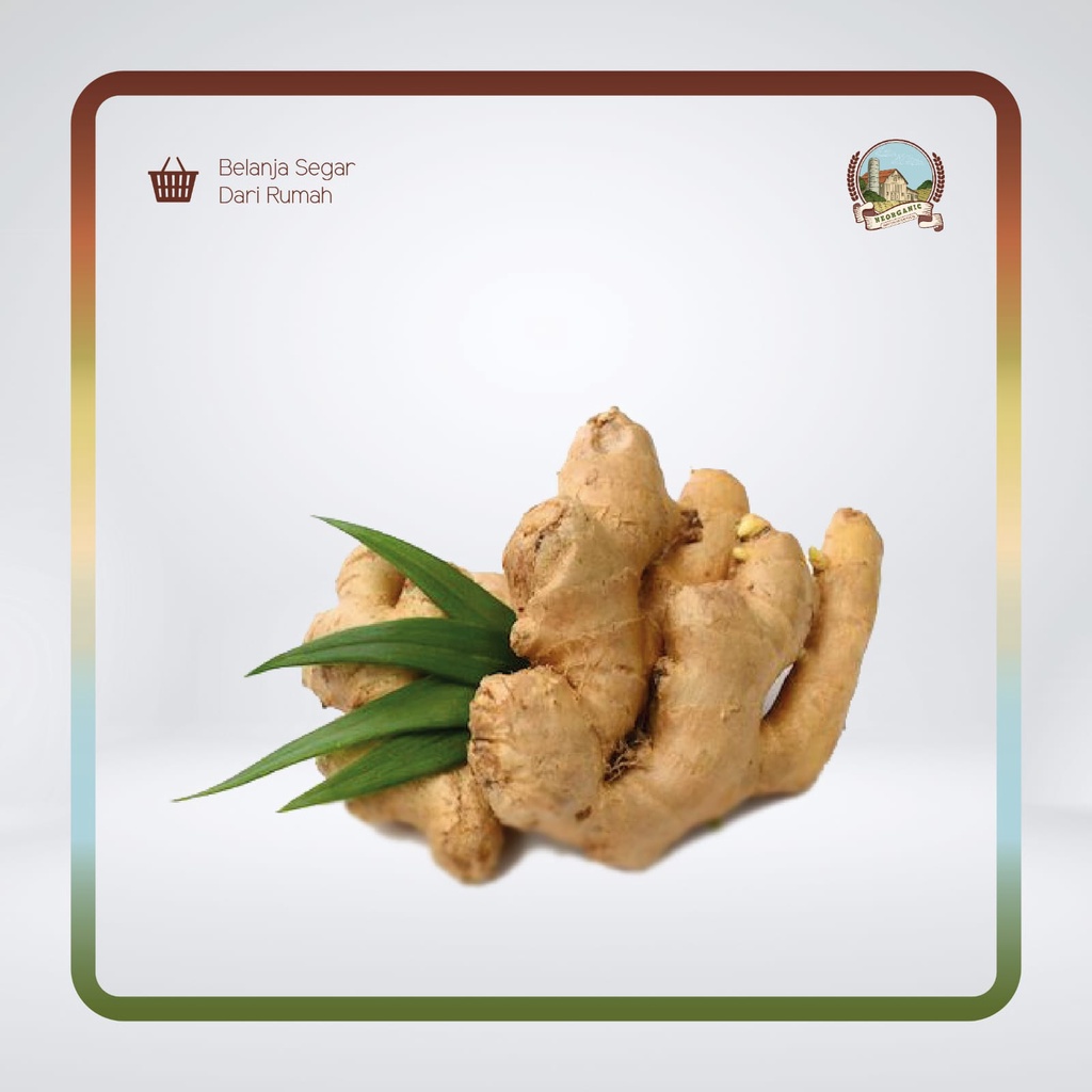 

Jahe Conventional 200 gr