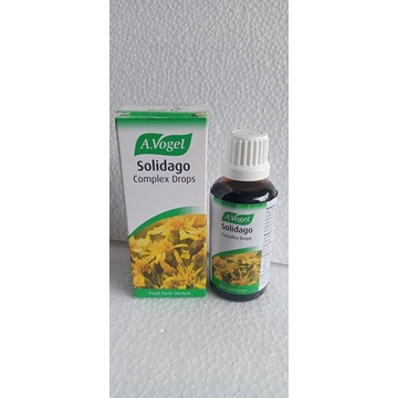 A VOGEL  SOLIDAGO