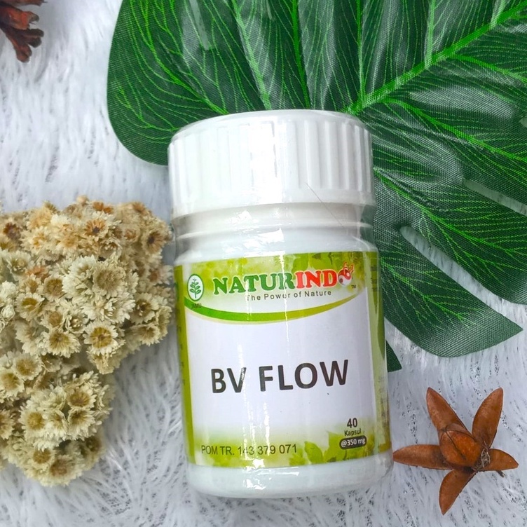 Mengobati Penyumbatan Pembuluh Darah Herbal BV FLOW
