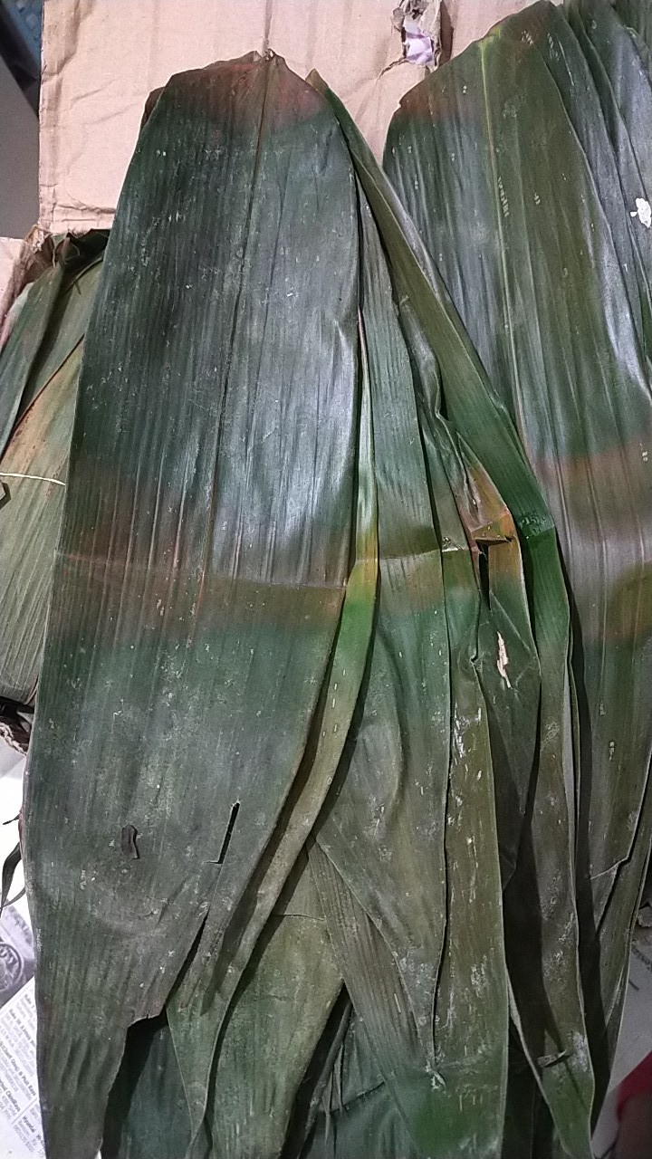 Daun Bambu Segar Per  1 Kg Bakcang. Bacang.