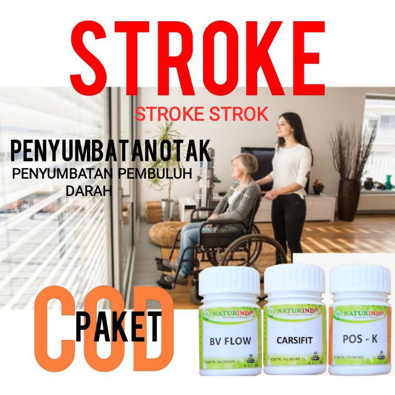 PAKET OBAT HERBAL STROK STROKE.PENYUMBATAN KOLESTEROL DI OTAK.HERBAL NATURINDO
