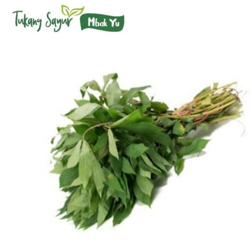 

Daun singkong segar per ikat