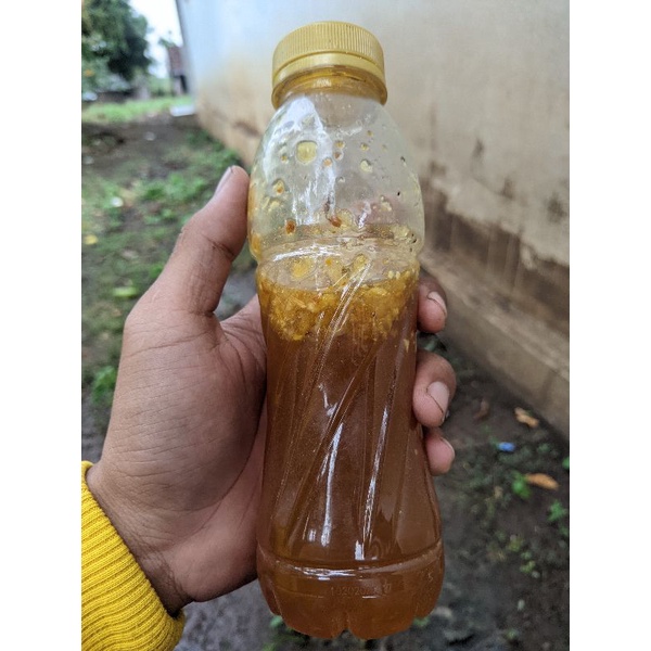 

madu hutan 100% asli hutan banyuwangi