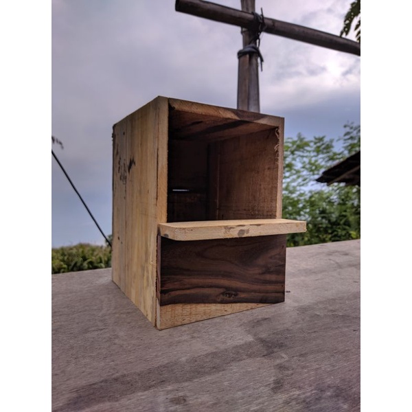 glodok murai jalak pintu belakang kayu sonokeling