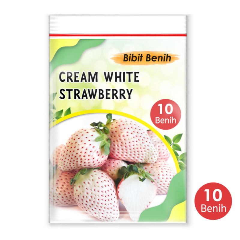 Bibit benih strawberry cream white 10 biji / bibit biji strawberry putih