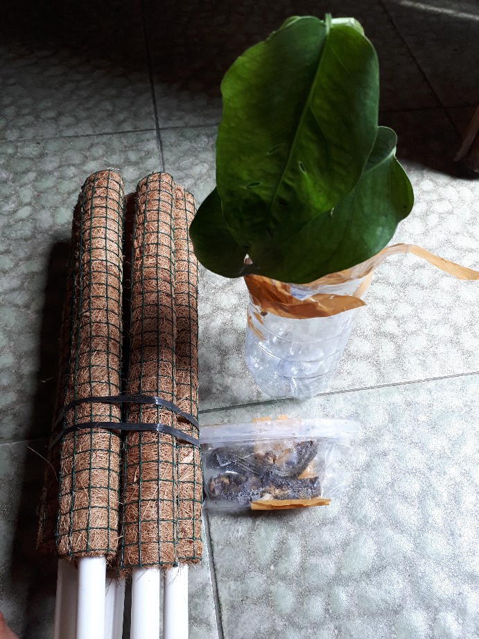 Turus Rambatan Serabut Kelapa 40 Cm