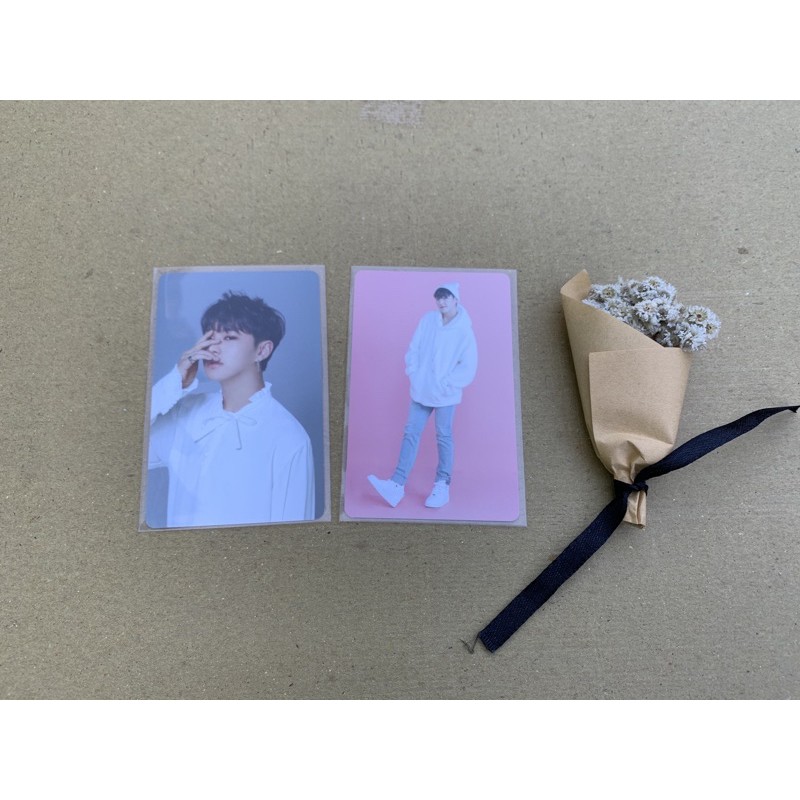 Caratland Hoshi 2017 2018 2019