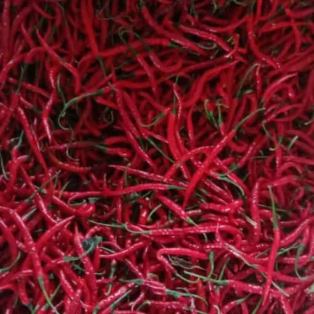 

Cabe merah keriting