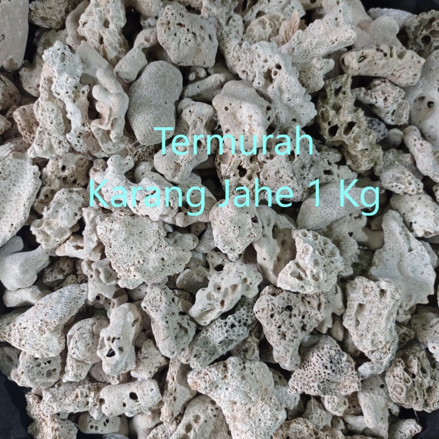 Karang Jahe 1 Kg Media Filter Karang Jahe 1Kg
