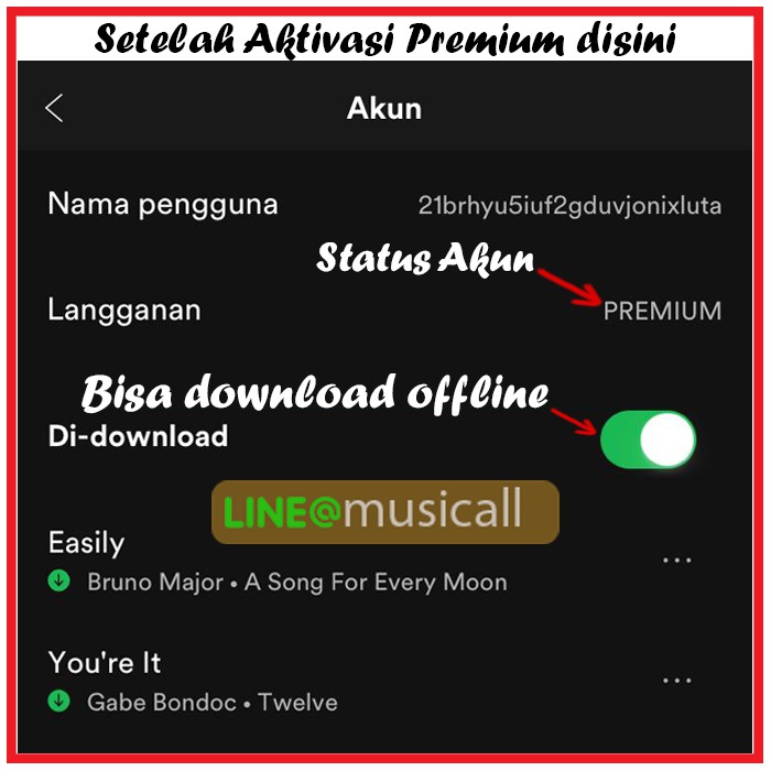 Spotify Premium 6 Bulan Shopee Indonesia